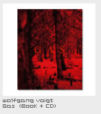Wolfgang Voigt	Gas  (Book + CD)